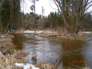 Scenerie jarní Malše