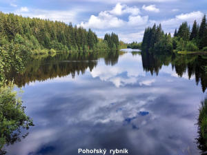 Pohořský rybník