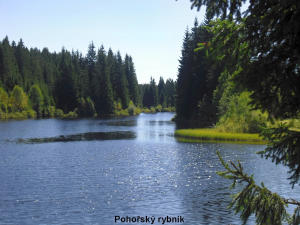 Pohořský rybník